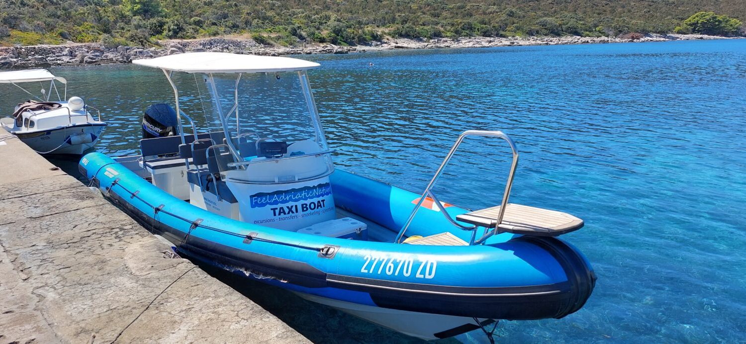 Taxi Boat Zadar - Speed Boat Taxi Zadar to Ugljan, Dugi Otok